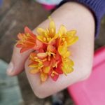 Blue Mountain School Floyd - @bluemountainschoolfloyd - Instagram