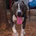 @floyd_bluenose - Instagram