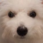 George Floyd Blue Jr - @george_floyd_blue - Instagram