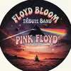 FLOYD BLOOM - @pinkfloydsignaltribute - TikTok