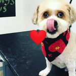 Floyd Bond - @floyd.bond.9889 - Instagram