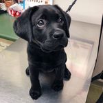 Floyd - @floydbonder - Instagram