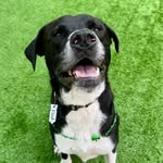 @floydbooth510 - Instagram
