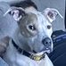 Bourke Floyd - Facebook