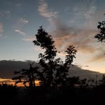 Floyd Bowen - @floydbowen09 - Instagram