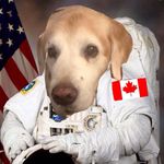 Floyd Boyd - @cornwalldrive - Instagram