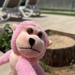 Floyd🐒 - @floyd_nicht_boyd - Instagram