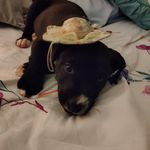 Floyd Bradshaw - @floyd.bradshaw.79 - Instagram