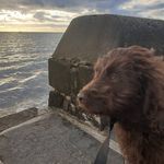 @floydofbrighton - Instagram