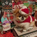 Bruce Floyd - @bruce.floyd.961 - Instagram