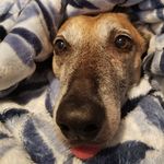 Floyd Bruce Willis Welch - @floydie_boy - Instagram