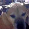 floyd bryan - @floyd.bryan0 - TikTok