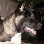 Floyd Buckley - @floydbuckley - Instagram