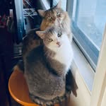 caspernfloyd - @caspernfloyd - Instagram