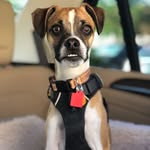 Cool cool cool - @floydyboycasper - Instagram