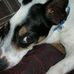 Floyd Rufus Cates - Facebook