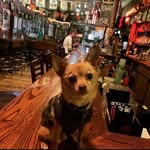 Floyd Gamboa-Chacon Esquire - @floyd_da_dogg - Instagram