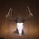 floyd chamberlain - @fleroyc - Instagram