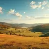 Floyd Chang - @floyd.chang - TikTok
