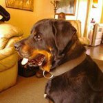 Floyd Coleman - @floydcoleman - Instagram