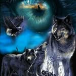 Floyd Coons - @coonsfloyd - Instagram