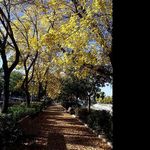@floydcrawforda - Instagram