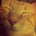 Floyd, darling - Facebook