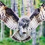 Floyd Davidson - @davidson.floyd - Instagram