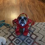 Floyd Denton - @naylpie583 - Instagram