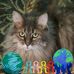 Floyd DeWitt - Facebook