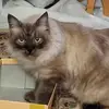 Floyd DeWitt - @floyd.dewitt - TikTok