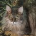 Floyd DeWitt - Facebook