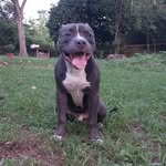 Floyd Dickens - @dickens.floyd - Instagram