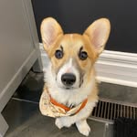 Floyd Dickson - @floyd_the_potato - Instagram