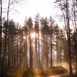 Floyd Donnelly - @floyddonnelly78 - Instagram