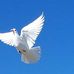Floyd Durham - Facebook