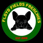 Zuri - @floydfieldsfrechies - Instagram