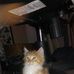 Floyd Fitzgerald - Facebook