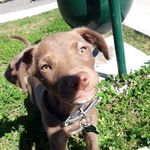 Floyd Flores Streeter - @mr._floyd._ - Instagram