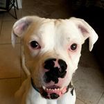 Floyd - @funkmasterfloyd - Instagram