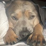 Floyd - @funkmasterfloydd - Instagram