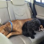 Floyd and Gaston The Olympups - @floyton - Instagram