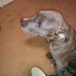 Floyd Gaston Jr. - @gastonjr.floyd - Instagram
