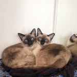 Floyd & Gentry - @floyd_gentry - Instagram