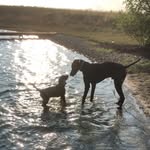 G&F - @gentry_and_floyd - Instagram