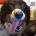 Floyd Giles - Facebook