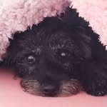 Gill Floyd - @gill.floyd - Instagram