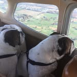 Floyd & Gilmore - @floyd_and_gilmore - Instagram
