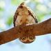 Floyd Kusher - Facebook