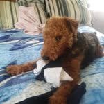 Floyd goff - @goff.floyd - Instagram